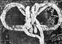 Такими петлями були пов'язані руки жертв советського народовбивства у Вінниці